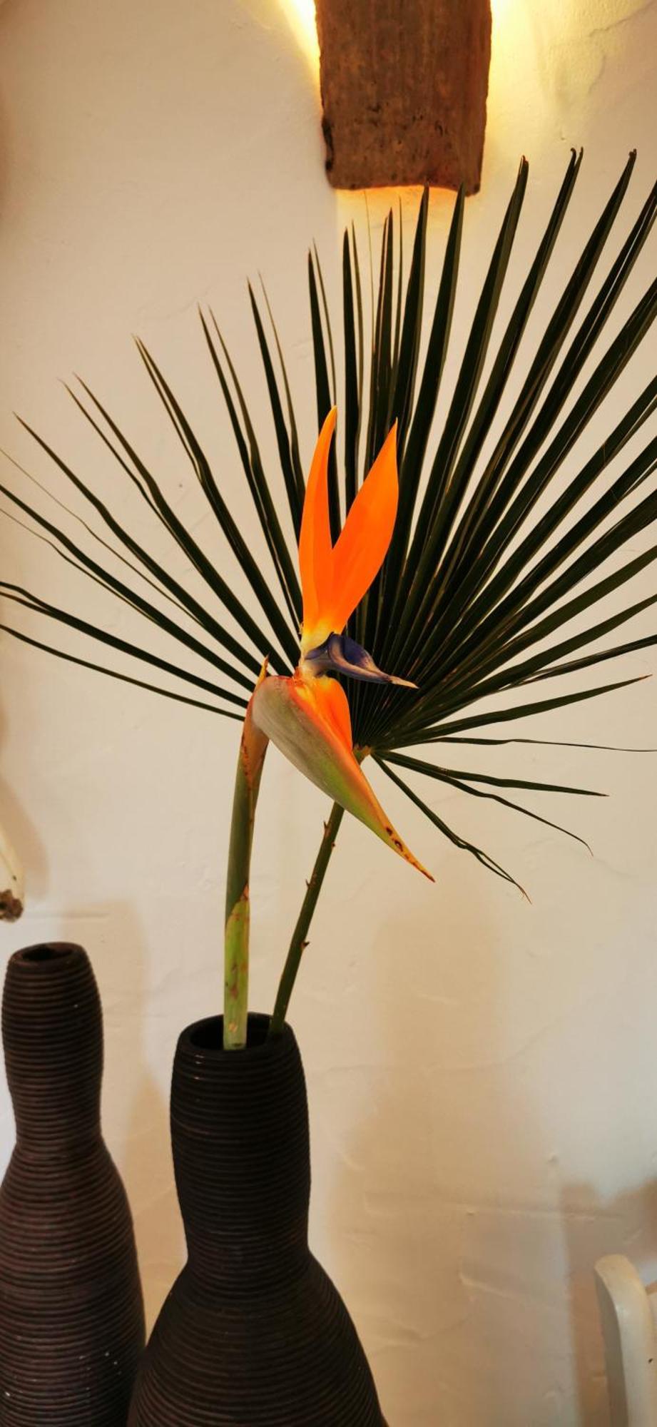 Roca Verde, Boutique Bed & Breakfast (Adults Only) Alhaurin de la Torre Ruang foto
