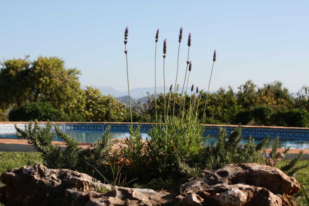 Roca Verde, Boutique Bed & Breakfast (Adults Only) Alhaurin de la Torre Bagian luar foto